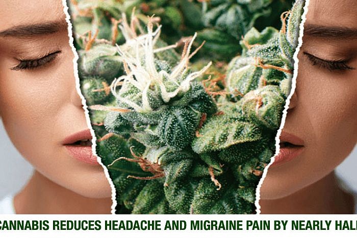 Can Marijuana Help Treat Headaches Or Migraines?