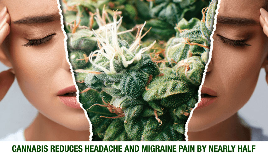 Can Marijuana Help Treat Headaches Or Migraines?